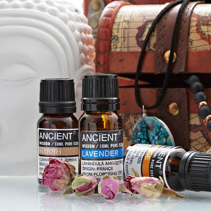 10ml Lavender Essential Oil (Lavandula Angustifolia) – Pure Aromatherapy Oil