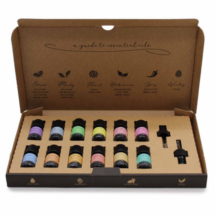 Autumn Essential Oil Gift Set – 12 Pure Aromatherapy Oils (5ml) with Dropper