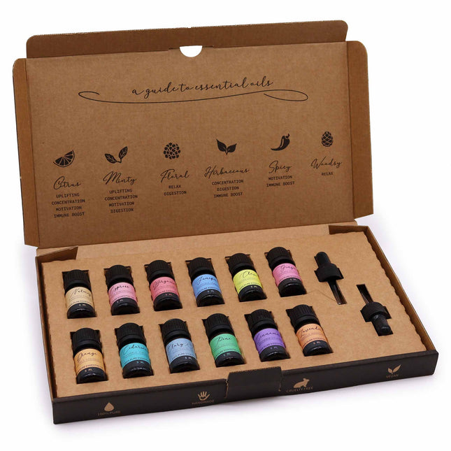 Autumn Essential Oil Gift Set – 12 Pure Aromatherapy Oils (5ml) with Dropper